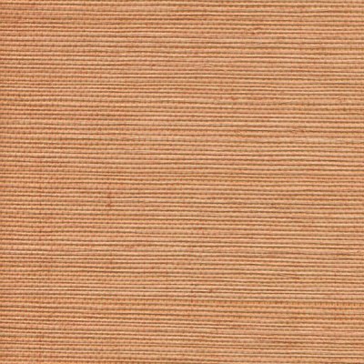 Обои Cosca Манау Маджента